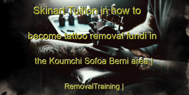 Skinart Tuition in how to become tattoo removal fundi in the Koumchi Sofoa Berni area | RemovalTraining | RemovalClasses | SkinartTraining-Niger